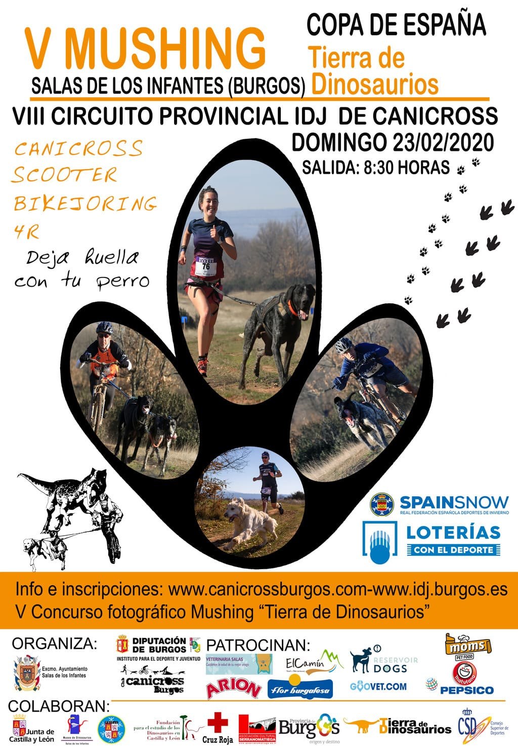 V MUSHING TIERRA DE DINOSAURIOS - Inskriba zaitez