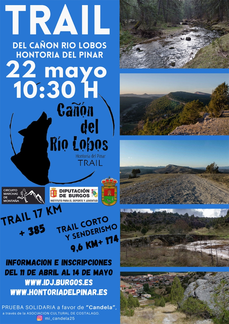 TRAIL CAÑÓN DEL RÍO LOBOS HONTORIA DEL PINAR - Inscríbete
