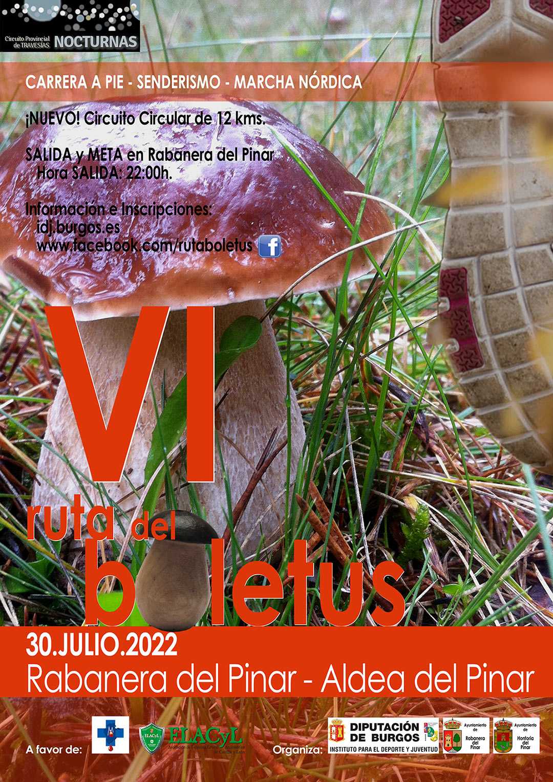 VI TRAVESIA NOCTURNA RUTA DEL BOLETUS - Inscríbete