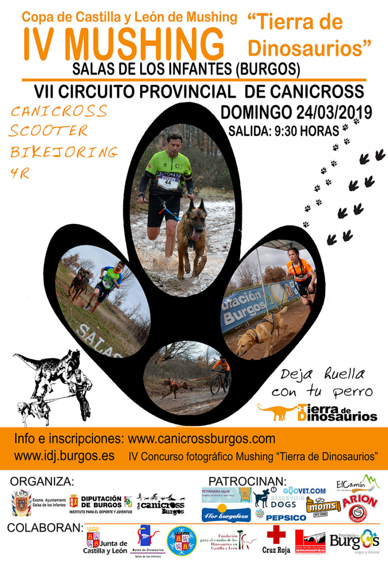 IV MUSHING TIERRA DE DINOSAURIOS - Inscris-toi