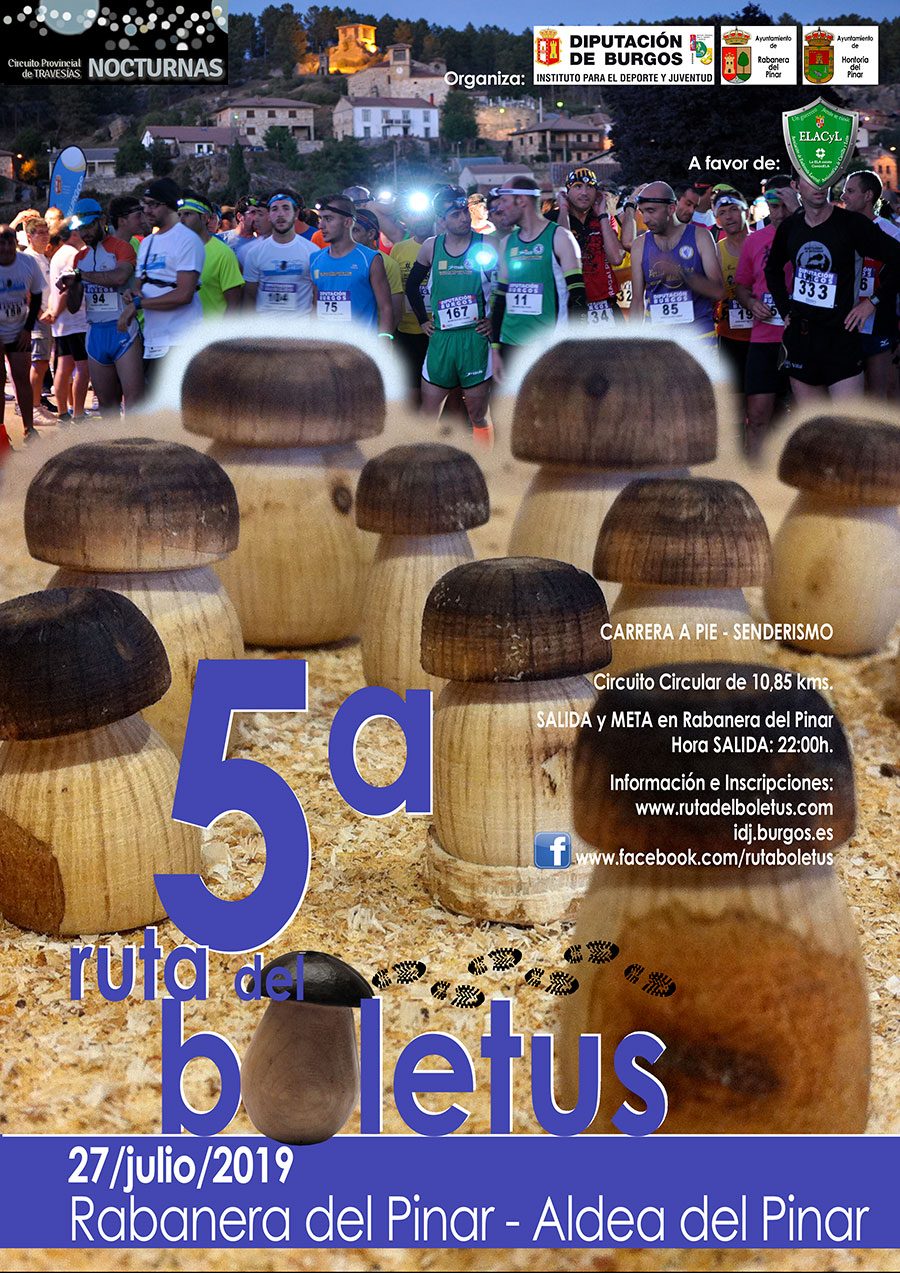 TRAVESÍA NOCTURNA RUTA DEL BOLETUS - Inscríbete