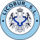 Licobur